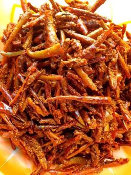 ကလေးသူပုန်းရည်ကြီး_ငရုတ်သီးနှမ်းကပ်ကြော်