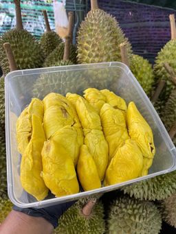 DURIAN BOX
