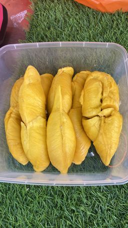 IOI Hajah Hasmah Johor