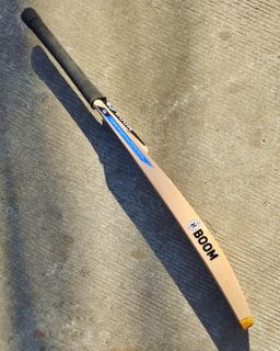 Standard Edition Bat  