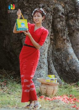 အရီးချို_ပခုက္ကူ ဆင်ချောင်း ပုန်းရည်ကြီး