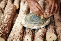 မြကြည်သာ_ရွှေရှင်မတောင်ဆပ်ပြာ