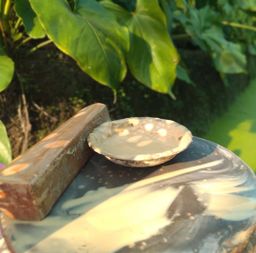 မြကြည်သာ_ဝါရွှေတောင်နံ Series