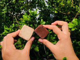 မြကြည်သာ_သနပ်ခါး လက်သွေးခဲ Collection