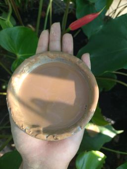 မြကြည်သာ_သနပ်ခါး လက်သွေးခဲ Collection