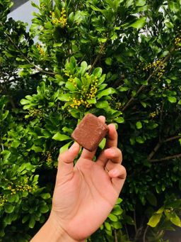 မြကြည်သာ_သနပ်ခါး လက်သွေးခဲ Collection