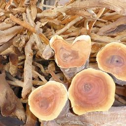 မြကြည်သာ_တော်ဝင်ကတိုးဆပ်ပြာ 