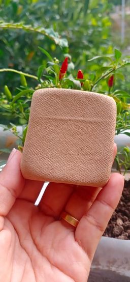 မြကြည်သာ_သနပ်ခါး လက်သွေးခဲ Collection