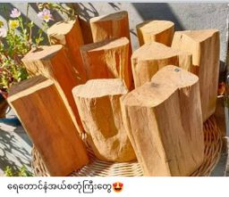 မြကြည်သာ_ဝါရွှေတောင်နံ Series