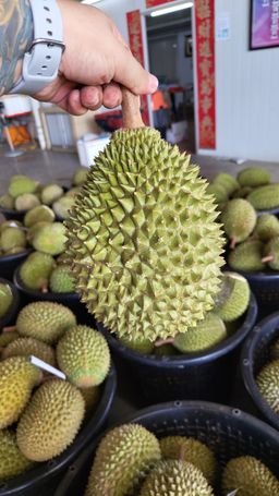 Old Tree Musang King Durian 400g