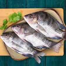 1kg Fresh Tilapia