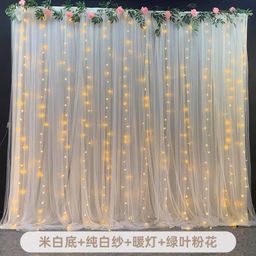 Backdrop Stand Floral decoration , Curtains &LED Lights 💡