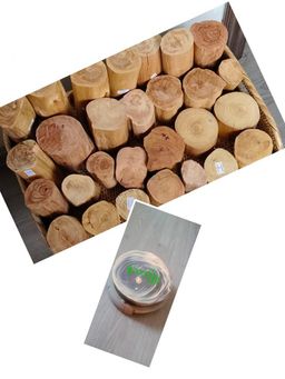 မြကြည်သာ_နံ့သာတုံး Collection