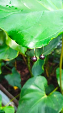 မြကြည်သာ_နံ့သာ Accessories Collection #