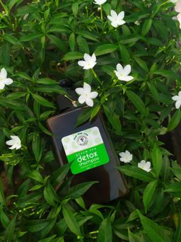 ဖိုးရွှေလုံး_Green Tea Detox Shampoo 