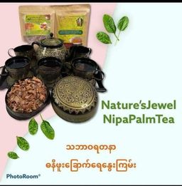 Nature`s Jewel_သဘာဝရတနာ ဓနိဖူးခြောက်