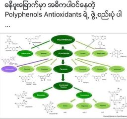 Nature`s Jewel_သဘာဝရတနာ ဓနိဖူးခြောက်