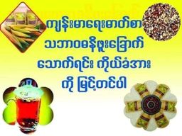 Nature`s Jewel_သဘာဝရတနာ ဓနိဖူးခြောက်