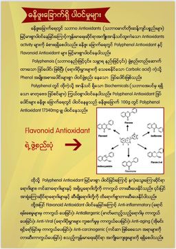 Nature`s Jewel_သဘာဝရတနာ ဓနိဖူးခြောက်