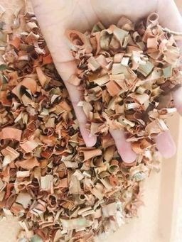 Nature`s Jewel_သဘာဝရတနာ ဓနိဖူးခြောက်