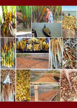 Nature`s Jewel_သဘာဝရတနာ ဓနိဖူးခြောက်