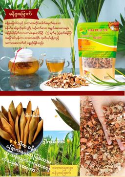 Nature`s Jewel_သဘာဝရတနာ ဓနိဖူးခြောက်