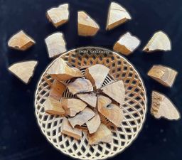 Shwe Sandalwood_ဩစတေးလျ တောင်နံကတိုး