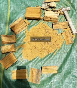 Shwe Sandalwood_တောင်နံကြီး