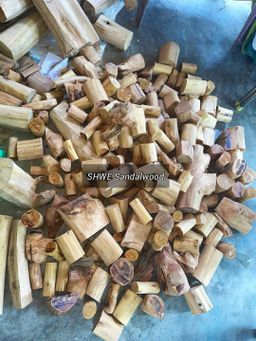 Shwe Sandalwood_နံ့သာဖြူ