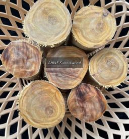 Shwe Sandalwood_နံ့သာဖြူ