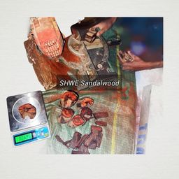 Shwe Sandalwood_အိန္ဒိယနံ့သာနီ 