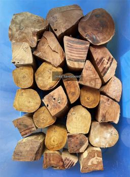 Shwe Sandalwood_နံ့သာဖြူ