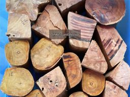 Shwe Sandalwood_နံ့သာဖြူ