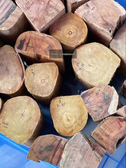 Shwe Sandalwood_နံ့သာဖြူ