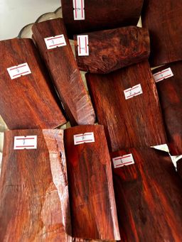 Shwe Sandalwood_အိန္ဒိယနံ့သာနီ 