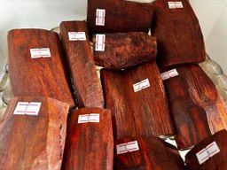 Shwe Sandalwood_အိန္ဒိယနံ့သာနီ 