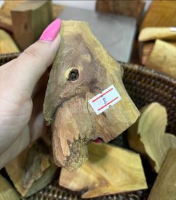 Shwe Sandalwood_ဩစတေးလျ တောင်နံကတိုး