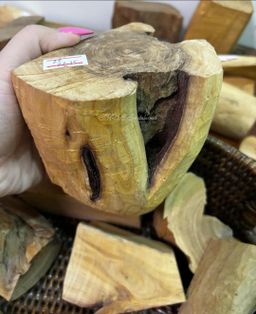 Shwe Sandalwood_ဩစတေးလျ တောင်နံကတိုး