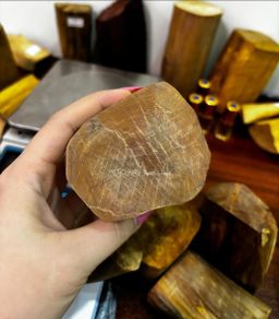 Shwe Sandalwood_နံ့သာဖြူ