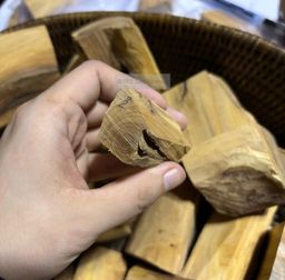 Shwe Sandalwood_ဩစတေးလျ တောင်နံကတိုး