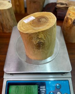 Shwe Sandalwood_ဩစတေးလျ တောင်နံကတိုး