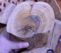 Shwe Sandalwood_ဩစတေးလျ တောင်နံကတိုး