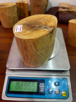 Shwe Sandalwood_ဩစတေးလျ တောင်နံကတိုး