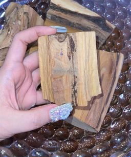 Shwe Sandalwood_ဩစတေးလျ တောင်နံကတိုး