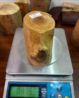 Shwe Sandalwood_ဩစတေးလျ တောင်နံကတိုး