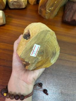 Shwe Sandalwood_ဩစတေးလျ တောင်နံကတိုး