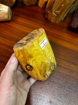 Shwe Sandalwood_ဩစတေးလျ တောင်နံကတိုး