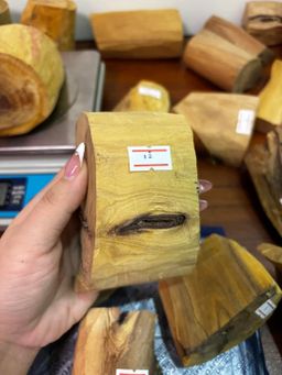 Shwe Sandalwood_ဩစတေးလျ တောင်နံကတိုး