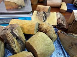 Shwe Sandalwood_ဩစတေးလျ တောင်နံကတိုး