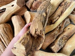 Shwe Sandalwood_ဩစတေးလျ တောင်နံကတိုး